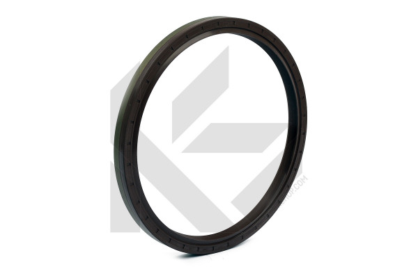 081.460, Akseltetningsring, veivaksel, Gufero 180x205x15/AW/BS/FPM, ELRING, 1543896, 7420441481, 20441481, 03.24.006, 11923, 12015255, 15091000, 2.10051, 520522, 67804, 81-35206-00, 836021, NA5485, P77477-01, PB-3896, 12015255B, 520523, 20031153B, 522041