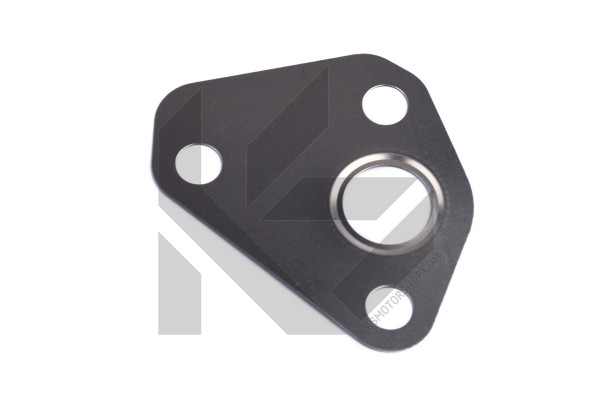 124.050, Pakning, sekundærluftventil, Těsnění pumpy SLP, ELRING, 078131120D, 078131120M, 01160200, 601724