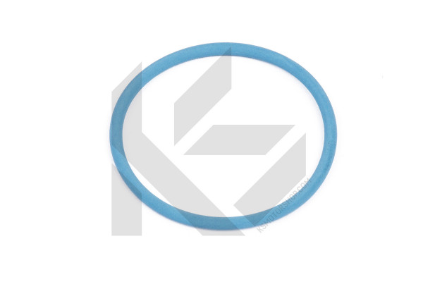 174.270, Tetningsring, Těsnění pal.čerpadla, ELRING, 03C127311, 1226258, 167813370R, 2000910060, 68125249AA, 71753806, 93177760, 9805133580, 999.701.048.40, C2D26536, LR010861, 06E127248, 2582102, A2000910060, JDE8969, VWN3CA9T523AA, WHT005184, 16091400, 172666, 2700210031, 33101433, 520880, 6156094, 628106, D32551, 16097100