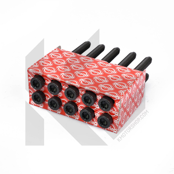 189.380, Topplokksboltsett, šroub hl.válců/set 10ks, ELRING, WHT002131, WHT002131(10x), 14-32299-01, 483280, 49362886, 81043900, 98-8545, B1662, BK2378, GS33685, T50034-00