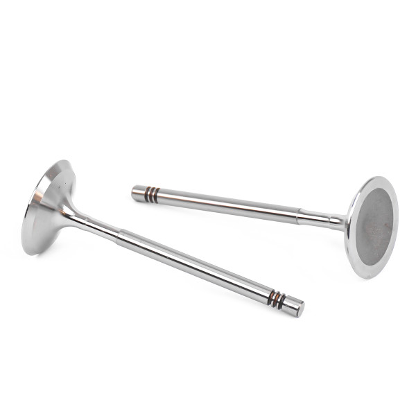 331153, Innløpsventil, Ventil sací IN (1) 1,2i 16V, TRW Engine Component, 03F109601A, 029VE31960000, 3869.002, R6718