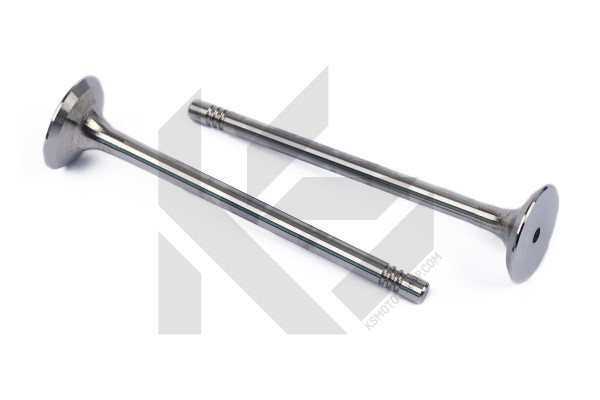 39523, Utløpsventil, Ventil výfuk.EX (1) 1,2i/1,4i 16V, TRW Engine Component, Audi A1 A2 A3 Seat Arosa Ibiza Leon Toledo Škoda Fabia Roomster Octavia Superb Rapid  Volkswagen Polo Caddy AUA BAD BAG BBY BLF CAXA CTHA 1,4TSI, 036109611AE, 036109611K, 03C109611R, 03C109611G, 03C109612, 029VA30529000, 0324OSVAT, 3189.006, 50009029, R6014, V94117, 3189INTERVALVES