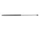 Gassfjær, bakrute - 430719101900 MAGNETI MARELLI - 8731.R8, 8731R8, 416059