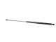 Gassfjær, bakrute - 430719101900 MAGNETI MARELLI - 8731.R8, 8731R8, 416059