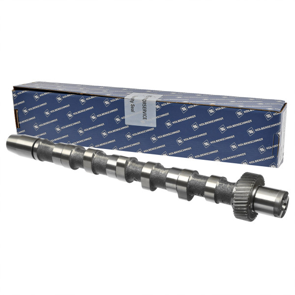 50006300, Kamaksel, Vačka 2,5TDI V6 IN(1-3), KOLBENSCHMIDT, 059109021BP, 059109021K, 059109021Q, 215407, 26974, 93157200, CAM700, CP10240