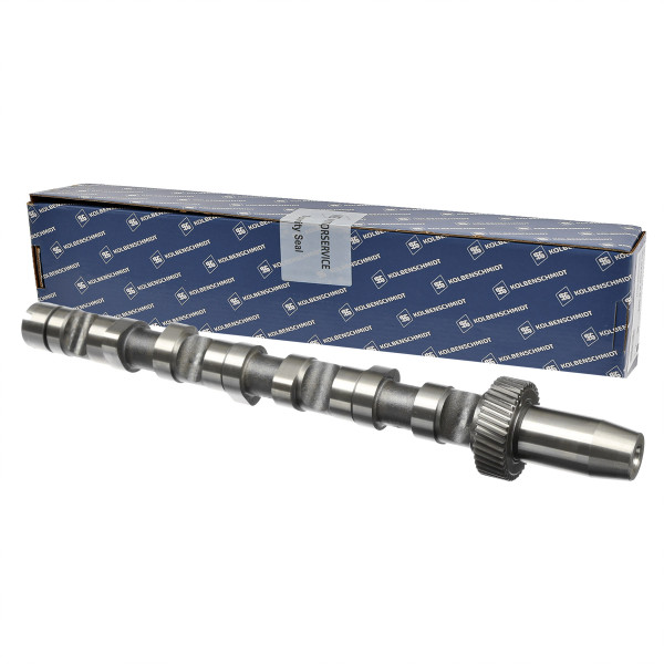 50006301, Kamaksel, Vačka 2,5TDI V6 IN(4-6), KOLBENSCHMIDT, 059109021BQ, 059109021L, 059109021P, 215408, 26976, 93157300, CAM701, CP10242