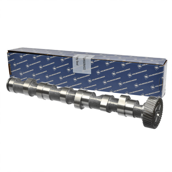 50006303, Kamaksel, Vačka 2,5TDI V6 EX(1-3), KOLBENSCHMIDT, 059109022BC, 059109022K, 059109022Q, 26978, 91330700, CAM702, CP10241