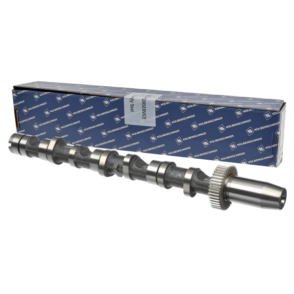 50006347, Kamaksel, Vačka 2,5TDI V6 IN(4-6), KOLBENSCHMIDT, Skoda Superb, VW Passat, Audi A4 A6 2,5TDI BDG BDH 2000-2006, 059109021AS, 059109021CL, 059109021CS, 26095, C278, CAM935, CM05-2190, CP10276, HV0306, T074