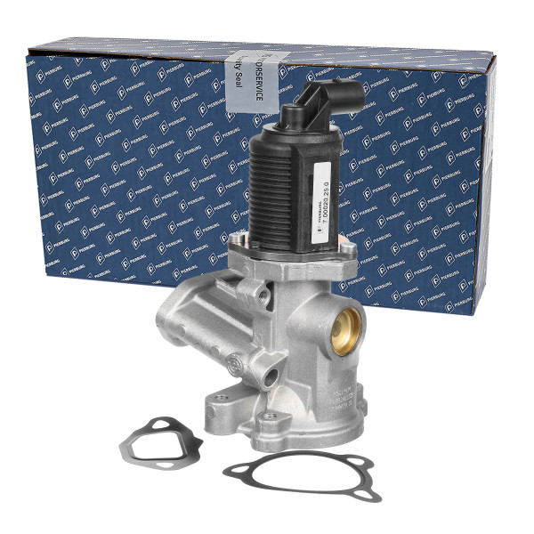 7.00020.25.0, EGR-ventil, Ventil AGR/EGR 1,3CDTi/bez t., PIERBURG, 55192348, 5851060, 55195196, 5851065, 55204941, 851368, 55219499, 71788549, 93184196, 71789468, 93188772, 93196799, 0892425, 1008510368, 107782, 14309, 45-8030, 555070, 571822112001, 6NU010171-451, 70107782, 70671701, 710773D, 717.720.028, 72-0028, 7518092, 83.4668, 83.668, 88092, 959035