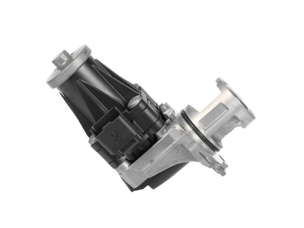 EGR-ventil - 7.02209.11.0 PIERBURG - 1618LN, 1696587, 36001458