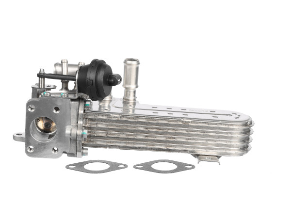 Kjøler, avgassresirkulering - 7.09730.03.0 PIERBURG - 03G131512L, 03G131513D, 03G131513J