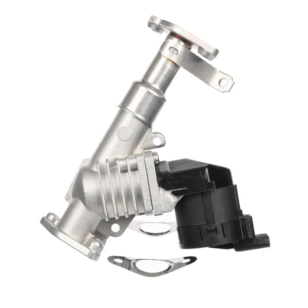 EGR-ventil - 7.24809.50.0 PIERBURG - 11717563241, 7563241, 08.16.009