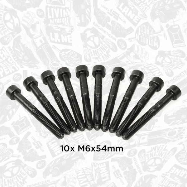 BS0001, Boltsett, lagerbukk kamaksel, šroub ulož.vačky M6x54/10ks, ET ENGINETEAM, Skoda VW Audi Seat 1,9 2,0 / 10x, 038103714G, 038103714