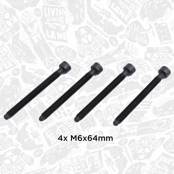 BS0008, Justeringsskrue, innsprøytningspumpe, šroub vstřikovače M6x64/4ks, ET ENGINETEAM, Skoda Roomster Superb, VW Golf Transporter Audi Seat 1,9 2,0 PD 2003+, 038103385A