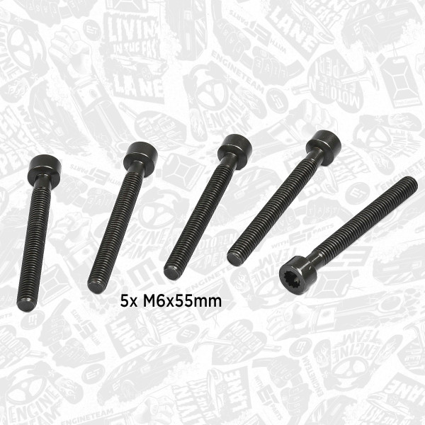 BS0009, Justeringsskrue, innsprøytningspumpe, šroub vstřikovače M6x55/5ks, ET ENGINETEAM, VW Tuareg Transporter Multivan 2,5TDI PD AXD AXE BAC BLJ BLK 2003+, 070103385A