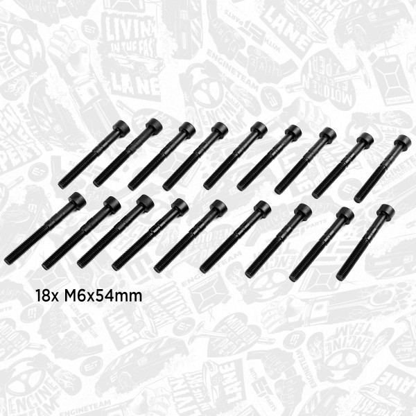 BS0010, Boltsett, lagerbukk kamaksel, šroub ulož.vačky M6x54/18ks, ET ENGINETEAM, VW Multivan Transporter AXD AXE BAC BLJ BLK BNZ BPC BPD BPE 2003+ /18x, 038103714G, 038103714