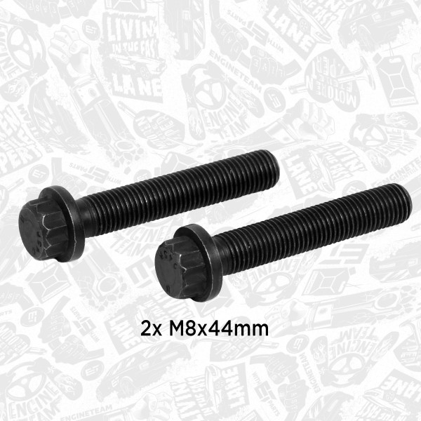 BS0014, Stempelstangskrue, šroub ojnice M8x44x1/2ks, ET ENGINETEAM, Škoda Octavia II Superb II VW Passat golf Audi A3 A6 BKD BMN 2,0TDI 2003+, 045105425, 045105425B, 039.000, 50009202