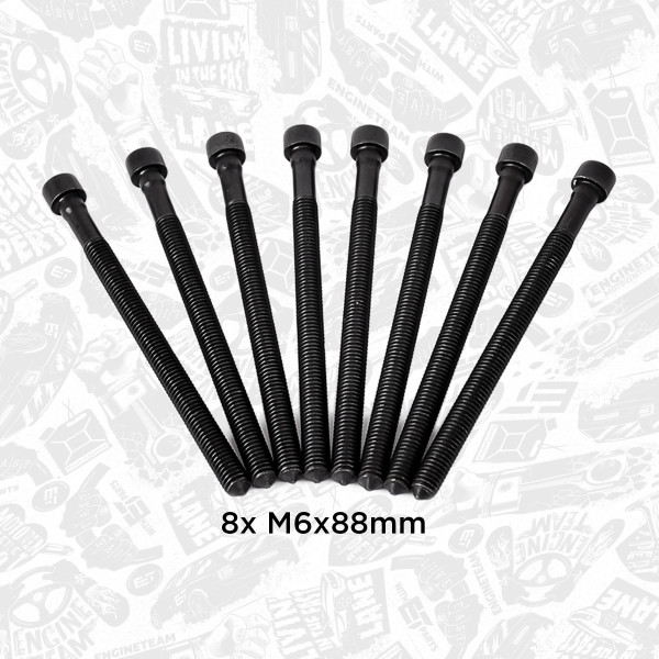 BS0015, Bolt, innsprøytningsdyseholder, šroub vstřikovače M6x88 / 8ks, ET ENGINETEAM, Škoda Octavia II Superb II VW Passat golf Audi A3 A6 BKD BMN 2,0TDI 2003+, 03G103385A, WHT003179