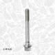 Bolt, sylindertoppdeksel - BS0087 ET ENGINETEAM - 0250C9, 55192298