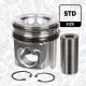 Stempel - PM000600 ET ENGINETEAM - 2996316, 504017243, 2992558