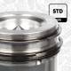Stempel - PM000600 ET ENGINETEAM - 2996316, 504017243, 2992558