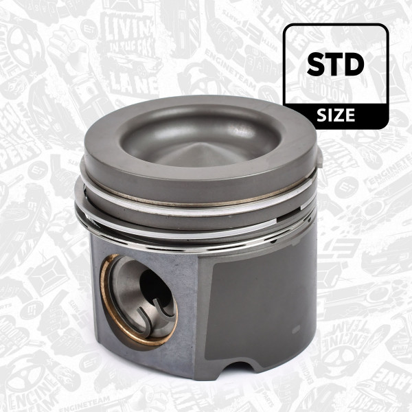 Stempel - PM003900 ET ENGINETEAM - 5410304117, 5410304217, 0046700