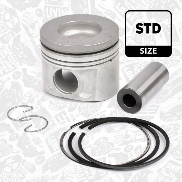 Stempel - PM004500 ET ENGINETEAM - 12010-DB000, 12010-DB010, 41274600
