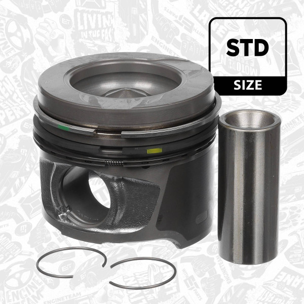 Stempel - PM008100 ET ENGINETEAM - 87-123400-40, 8712340040
