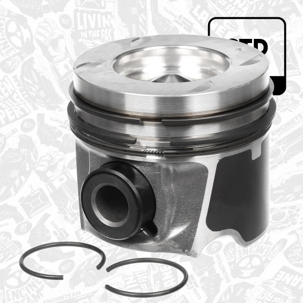 Stempel - PM011100 ET ENGINETEAM - 120104953R, 6220300100, 120105460R