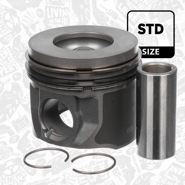Stempel - PM013900 ET ENGINETEAM - 1373528, LR004436, 1373529