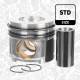 Stempel - PM016600 ET ENGINETEAM - 11258571012, 8571012, 41853600