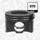 Stempel - PM017000 ET ENGINETEAM - HG9Q6K100BA, 87-452900-10