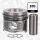 Stempel - PM017700 ET ENGINETEAM - 120A11104R, 120A13419R, 120A18001A