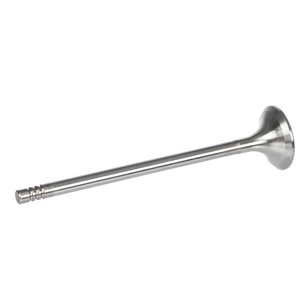 R6820/RCR, Utløpsventil, Ventil výfuk.EX (1) 1,0i EcoBoost, FRECCIA, CM5G6505FA, 1760589, 1760588, CM5G6505EA, 2048374, CA6G-6505-BB, CM5G-6505-FA, CM5G-6505-GA, 181118, 38920, EV95221, V236820, V95179, VE0170, 63457, EV95286