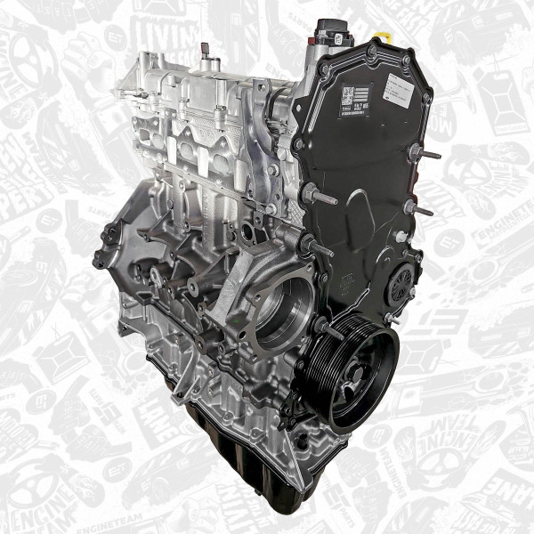 SB0027, Delmotor, Motor, longblock 2,0 EcoBlue /RWD, ET ENGINETEAM, Ford Transit Tourneo Transit Custom  Tourneo Custom 2,0 EcoBlue YNF6 2015+, GK3Q6006FG, 2384532, GK3Q6006FF, GK3Q-6006-FJ, GK3Q6006FA, GK3Q6006FB, GK3Q6006FC, GK3Q6006FD, GK3Q6006FE, 2761596, 2704358, 2531186, 2313904, 2196366, 2175739, 2041054, 2007910, 2011594, GK3Q6675AA, GK3Q6675AB, 2608129, 2239529