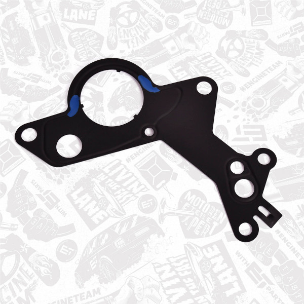 TM0020, Tetning, vakuumpumpe, Těsnění vakuového čerpadla/FE, ET ENGINETEAM, 038145215, 876.661