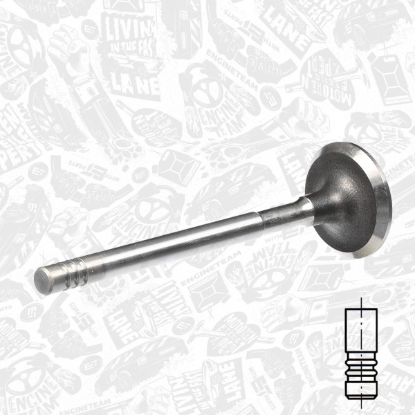 VE0057, Utløpsventil, Ventil výfuk.EX (1) 1,4 Fab., ET ENGINETEAM, 047109611D, 331054, R6180/RCR, V94419