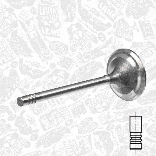 VE0066, Utløpsventil, Ventil výfuk.EX (1) 2,8D, ET ENGINETEAM, 062109611A, 029VA31163000, 331112, R6313/BMCR