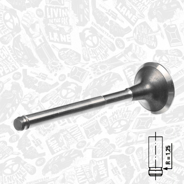 VE0078, Utløpsventil, Ventil výfuk.EX (1) 1,9D, ET ENGINETEAM, Renault Clio/Megane 1,9D/dT F8Q 1996-2003, 7701469193, 7701469371, 021VA30861100, R4720/BM