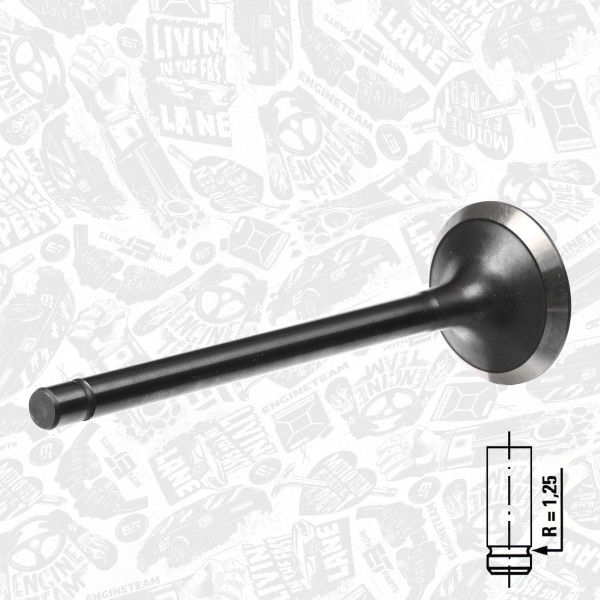 VE0086, Utløpsventil, Ventil výfuk.EX (1), ET ENGINETEAM, Iveco EuroCargo/Zeta 8040/8060 1987-2000, 4784889, 99432718, 4784890, 99432717, 1904654, 4806717, 1904655, 17076, 823480, R4233/RNT, V91302, R4233/BMNT, V91304