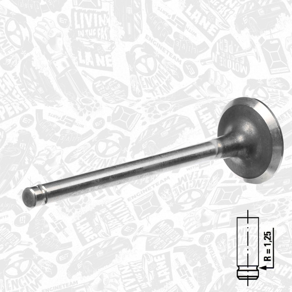 VE0088, Utløpsventil, Ventil výfuk.EX (1) 1,4i, ET ENGINETEAM, 641317, 90409996, 29384, R4637/RCR