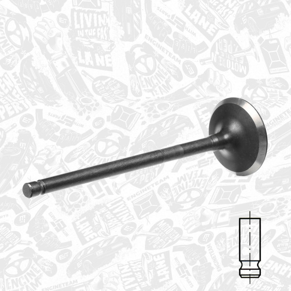 VE0113, Utløpsventil, Ventil výfuk.EX (1) 2,0i 16V, ET ENGINETEAM, Ford Focus/Mondeo, Mazda 6 2,0i 2000+, 1124377, LF01-12121, 181109, R6371/RNT, V98033