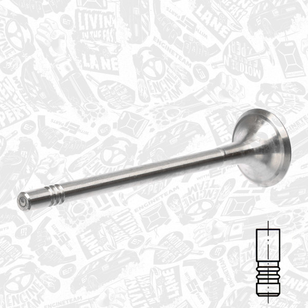 VE0122, Utløpsventil, Ventil výfuk.EX (1), ET ENGINETEAM, Audi Skoda VW Seat A1 A3 Altea XL Ibiza Toledo Fabia Rapid Octavia Caddy Golf Jetta Touran Passat 1,6/2,0 TDI 2004+, 03L109611A, 331154, R6691/R