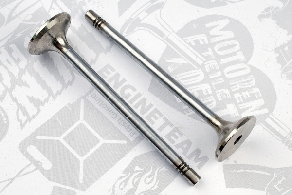 VE0130, Utløpsventil, Ventil výfuk.EX (1) D 2876, ET ENGINETEAM, MAN TGA D 2876 2001+, 51041010524, 020520280201, 227VA30957000, 25303, R6579/BMCR, V95006