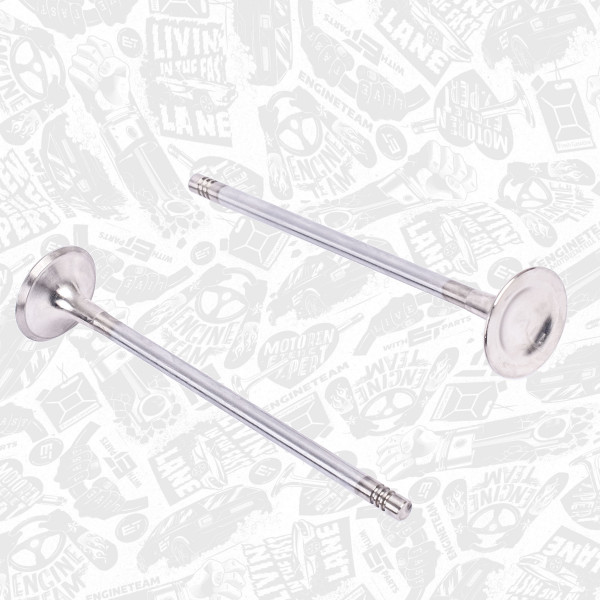 VE0132, Utløpsventil, Ventil výfuk.EX (1) 3,2i V6, ET ENGINETEAM, 022109611P, 331130, R6704/BMARCR