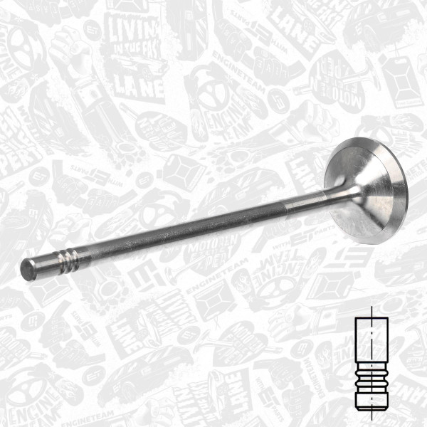 VE0151, Utløpsventil, Ventil výfuk.EX (1) D 0834, ET ENGINETEAM, MAN Truck Bus TGA/TGL/TGM Hocl Lion’s City Lion's Classic Neoplan Optare Otokar D0834LF* D0834LFL* D0834LOH* D0836LFL* D0836LOH* Euro 3/4/5/6 2002+, 51.041.010.498, 51.041.010.506, 51.041.010.538, 020520083001, 227VA30959000, 25305, V95030