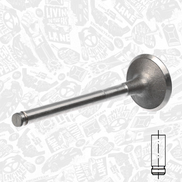 VI0012, Innløpsventil, Ventil sací IN (1) 1,9D, ET ENGINETEAM, Renault Clio/Kangoo/Megane 1,9D F8Q 1991-2005, 7701468190, R4719/S, R4719/BM