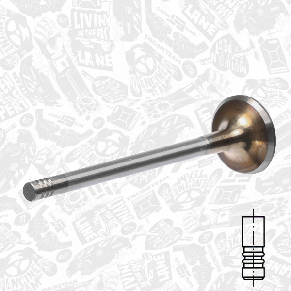 VI0033, Innløpsventil, Ventil sací IN (1) 2,5TDI, ET ENGINETEAM, Skoda Superb, Audi A4/A6, VW Passat 2,5TDI 1997-2005, 059109601B, 059109601C, 331055, R6085/SCR, V94422, 33463, V94653