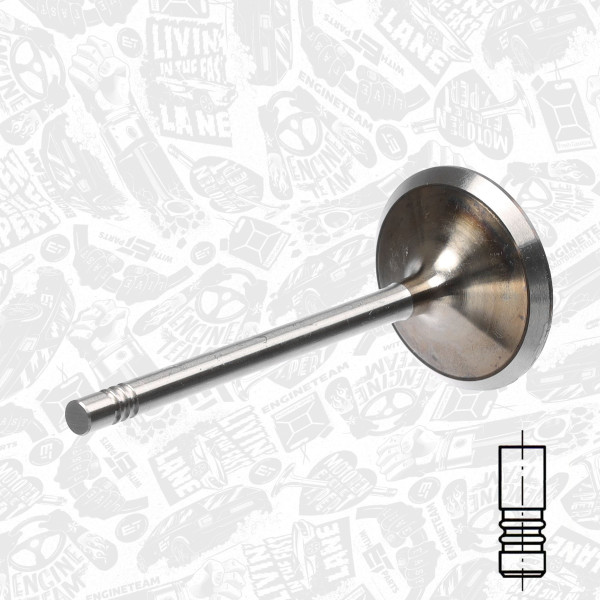 VI0067, Innløpsventil, Ventil sací IN (1) 1,6i, ET ENGINETEAM, Skoda VW Audi Seat 1,6i 2000+, 06B109601D, 331057, R6155/S, V94424