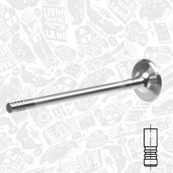 VI0104, Innløpsventil, Ventil IN (1) M57 D30, ET ENGINETEAM, BMW 3 (E46) 330 d 3 (E46) 330 xd 3 Touring (E46) 330 d 3 kupé (E92) 325 d 5 (E39) 525 d 5 (E60) 530 d 5 Touring (E61) 530 xd X5 (E53) 3.0 d X5 (E70) 3.0 sd M57 D30 2006+, 11342247077, LGH101450, 081VX30895100, 111113, R6088/BMCR, V94086